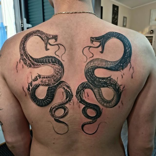Tatuaggio black and grey, serpente e teschio